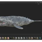 Realistic Gray Whale Rigged 3D Model(22)