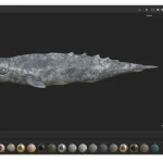 Realistic Gray Whale Rigged 3D Model(23)