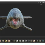 Realistic Gray Whale Rigged 3D Model(24)