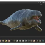 Realistic Gray Whale Rigged 3D Model(25)