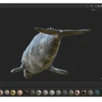 Realistic Gray Whale Rigged 3D Model(27)