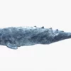 Realistic Gray Whale 3D Model Rigged 3D Model Creature Guard 58
