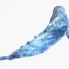 Realistic Gray Whale 3D Model Rigged 3D Model Creature Guard 42