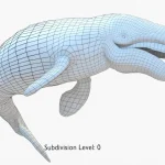 Gray Whale 3D Model