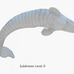 Gray Whale 3D Model