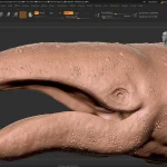 Realistic Gray Whale Rigged 3D Model(45)