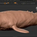 Realistic Gray Whale Rigged 3D Model(47)