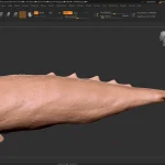 Realistic Gray Whale Rigged 3D Model(48)