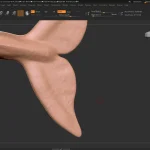 Realistic Gray Whale Rigged 3D Model(49)