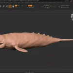 Realistic Gray Whale Rigged 3D Model(50)
