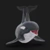 Killer Whale 3D Model