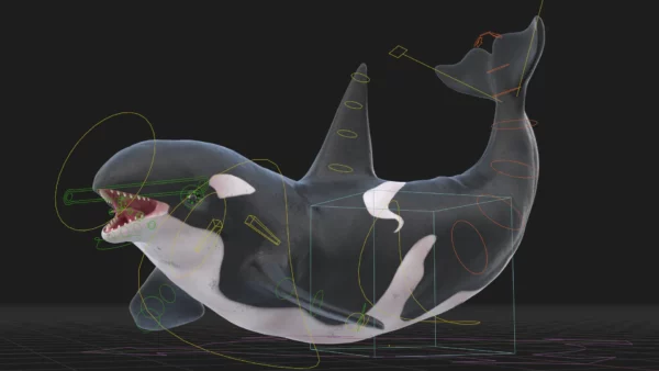 Realistic Killer Whale Rigged and Animated 3D Model 3D Model Creature Guard 15