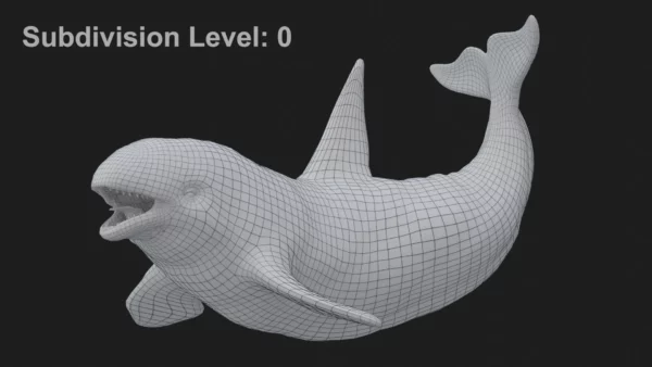 Killer Whale 3D Model