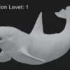 Killer Whale 3D Model