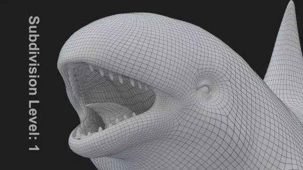 Killer Whale 3D Model