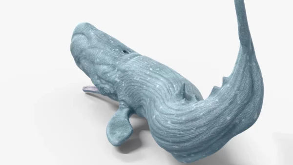 Realistic Sperm Whale Rigged 3D Model 3D Model Creature Guard 5