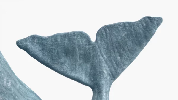 Realistic Sperm Whale Rigged 3D Model 3D Model Creature Guard 7