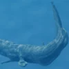 Realistic Sperm Whale Rigged 3D Model 3D Model Creature Guard 40