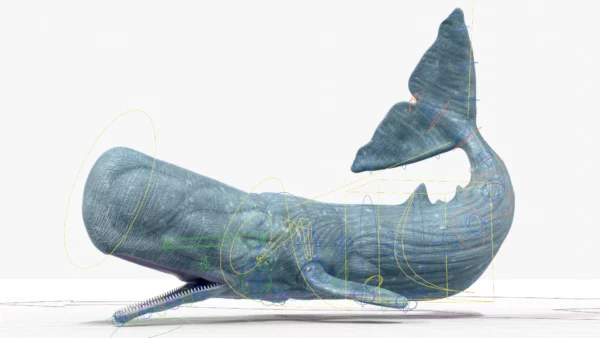 Realistic Sperm Whale Rigged 3D Model 3D Model Creature Guard 8