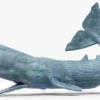 Realistic Sperm Whale Rigged 3D Model 3D Model Creature Guard 37