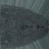 Realistic Sperm Whale Rigged 3D Model 3D Model Creature Guard 52