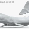 Realistic Sperm Whale Rigged 3D Model 3D Model Creature Guard 43