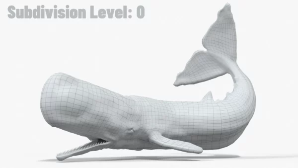 Realistic Sperm Whale Rigged 3D Model 3D Model Creature Guard 16