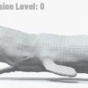 Realistic Sperm Whale Rigged 3D Model 3D Model Creature Guard 46