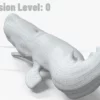 Realistic Sperm Whale Rigged 3D Model 3D Model Creature Guard 47