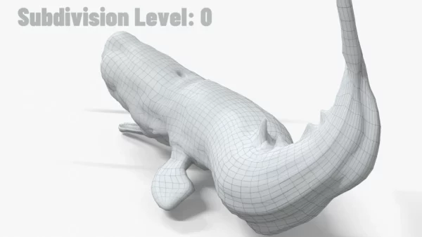 Realistic Sperm Whale Rigged 3D Model 3D Model Creature Guard 20
