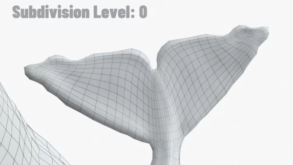 Realistic Sperm Whale Rigged 3D Model 3D Model Creature Guard 21