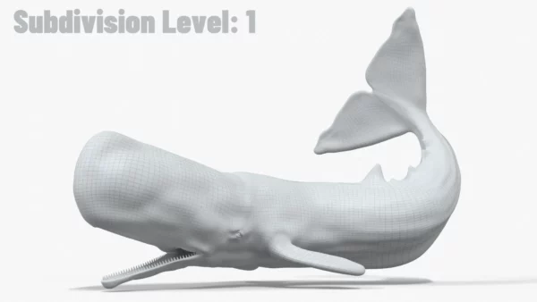 Realistic Sperm Whale Rigged 3D Model 3D Model Creature Guard 22