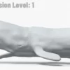 Realistic Sperm Whale Rigged 3D Model 3D Model Creature Guard 51