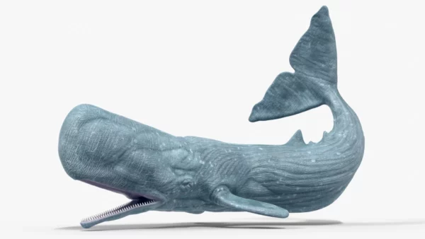 Realistic Sperm Whale Rigged 3D Model 3D Model Creature Guard 2