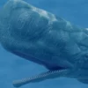 Realistic Sperm Whale Rigged 3D Model 3D Model Creature Guard 38