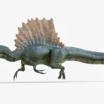 Spinosaurus 3D Model