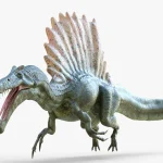 Spinosaurus 3D Model