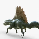 Spinosaurus 3D Model