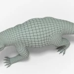 Simosuchus 3D Model