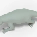 Simosuchus 3D Model