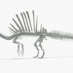 Spinosaurus Skeleton 3D Model