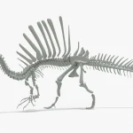 Spinosaurus Skeleton 3D Model