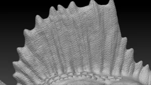 Spinosaurus 3D Model