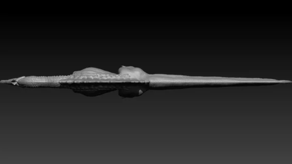 Realistic Spinosaurus Sculpted High Poly 3D Model 3D Model Creature Guard 2