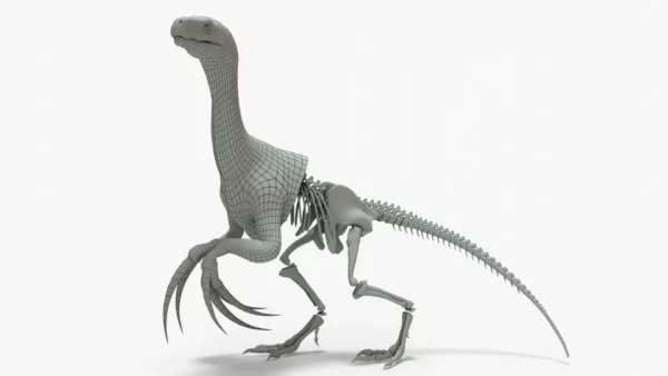 Therizinosaurus Skeleton 3D Model