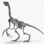 Therizinosaurus Skeleton 3D Model