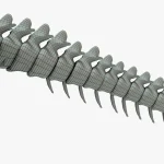 Therizinosaurus Skeleton 3D Model