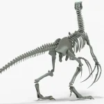 Therizinosaurus Skeleton 3D Model