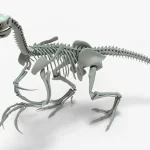 Therizinosaurus Skeleton 3D Model