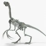 Therizinosaurus Skeleton 3D Model